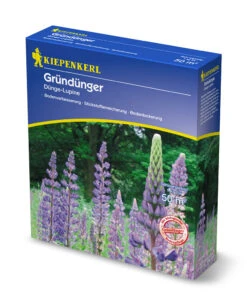 Düngelupinen (1 Kg) | Gründünger Von Kiepenkerl