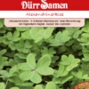 Gründünger Alexandrinerklee 500 G | Gründünger Von Dürr Samen