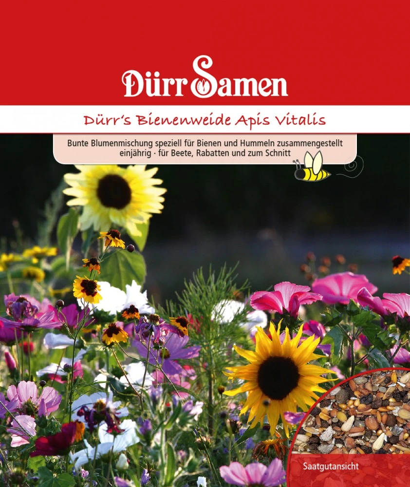 Bienen- Und Hummelweide Apis Vitalis 25 M² | Blumensamen Von Dürr Samen 2 Bienen- Und Hummelweide Apis Vitalis 25 M² | Blumensamen Von Dürr Samen – Bild 2