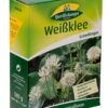 Weißklee 500 G | Gründünger Von Quedlinburger