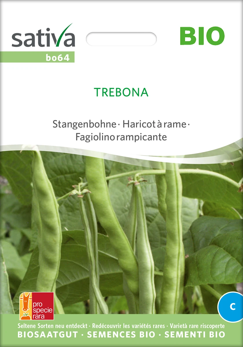 Stangenbohne Trebona | BIO Stangenbohnensamen Von Sativa Rheinau 2 Stangenbohne Trebona | BIO Stangenbohnensamen Von Sativa Rheinau – Bild 2