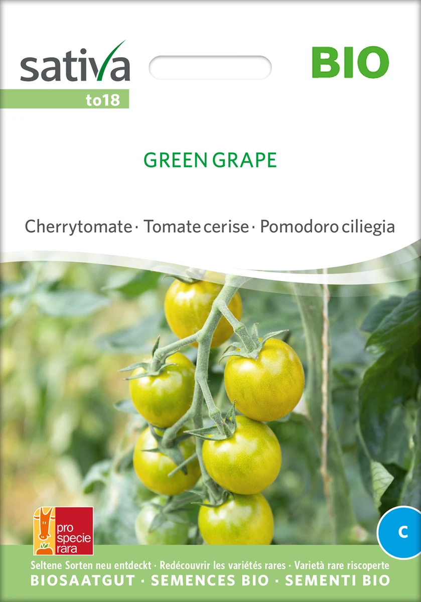 Cherrytomate Green Grape | BIO Kirschtomatensamenvon Sativa Rheinau 1 Cherrytomate Green Grape | BIO Kirschtomatensamenvon Sativa Rheinau