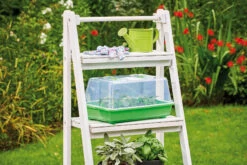 Gewächshaus M | Zimmergewächshaus Von Romberg 5 Gewächshaus M | Zimmergewächshaus Von Romberg -Elho || Compo Verkäufe 535231 Gewaechshaus M 10094102 1