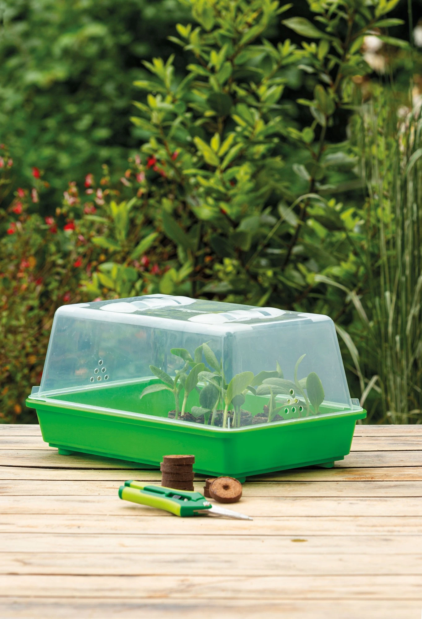 Gewächshaus M | Zimmergewächshaus Von Romberg 2 Gewächshaus M | Zimmergewächshaus Von Romberg – Bild 2