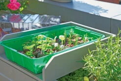 Anzuchthaus M PLUS | Mini-Gewächshaus Von Romberg -Elho || Compo Verkäufe 535236 Anzuchthaus M PLUS 10094202 2