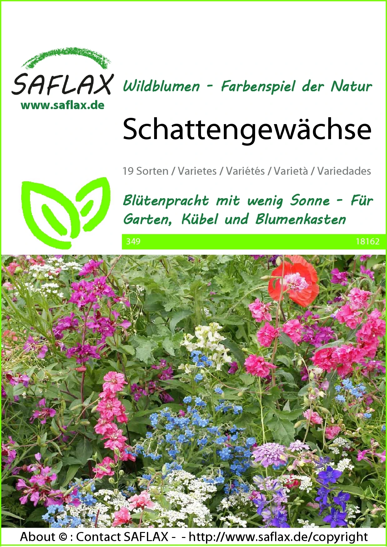 Blumenwiese Schattengewächse | Wildblumenwiese Von Saflax 1 Blumenwiese Schattengewächse | Wildblumenwiese Von Saflax