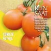 Salattomate Auriga | BIO Kirschtomatensamen Von Reinsaat