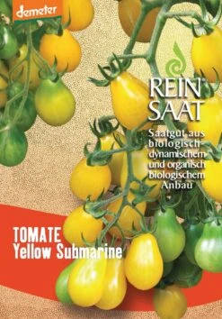 Cocktailtomate Yellow Submarine | BIO Kirschtomatensamen Von Reinsaat