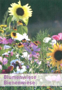 Bienenwiese (1 Kg) | Blumenwiese Von Küpper