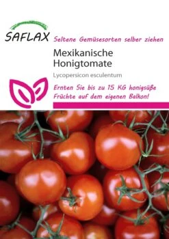 Mexikanische Honigtomate | Honigtomatensamen Von Saflax