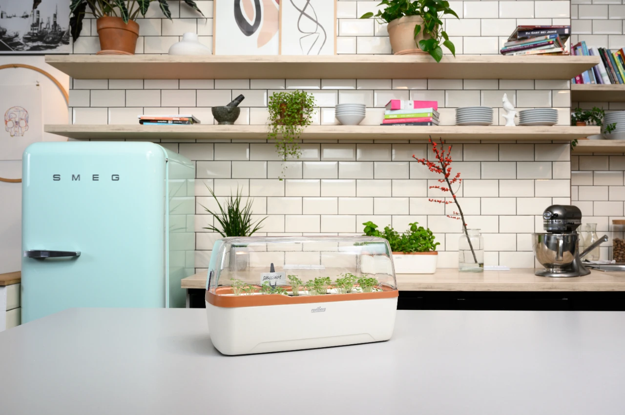 BoQube Gewächshaus & Pflanzkasten L Creme-kupfer | Zimmergewächshäuser Von Romberg 4 BoQube Gewächshaus & Pflanzkasten L Creme-kupfer | Zimmergewächshäuser Von Romberg – Bild 4