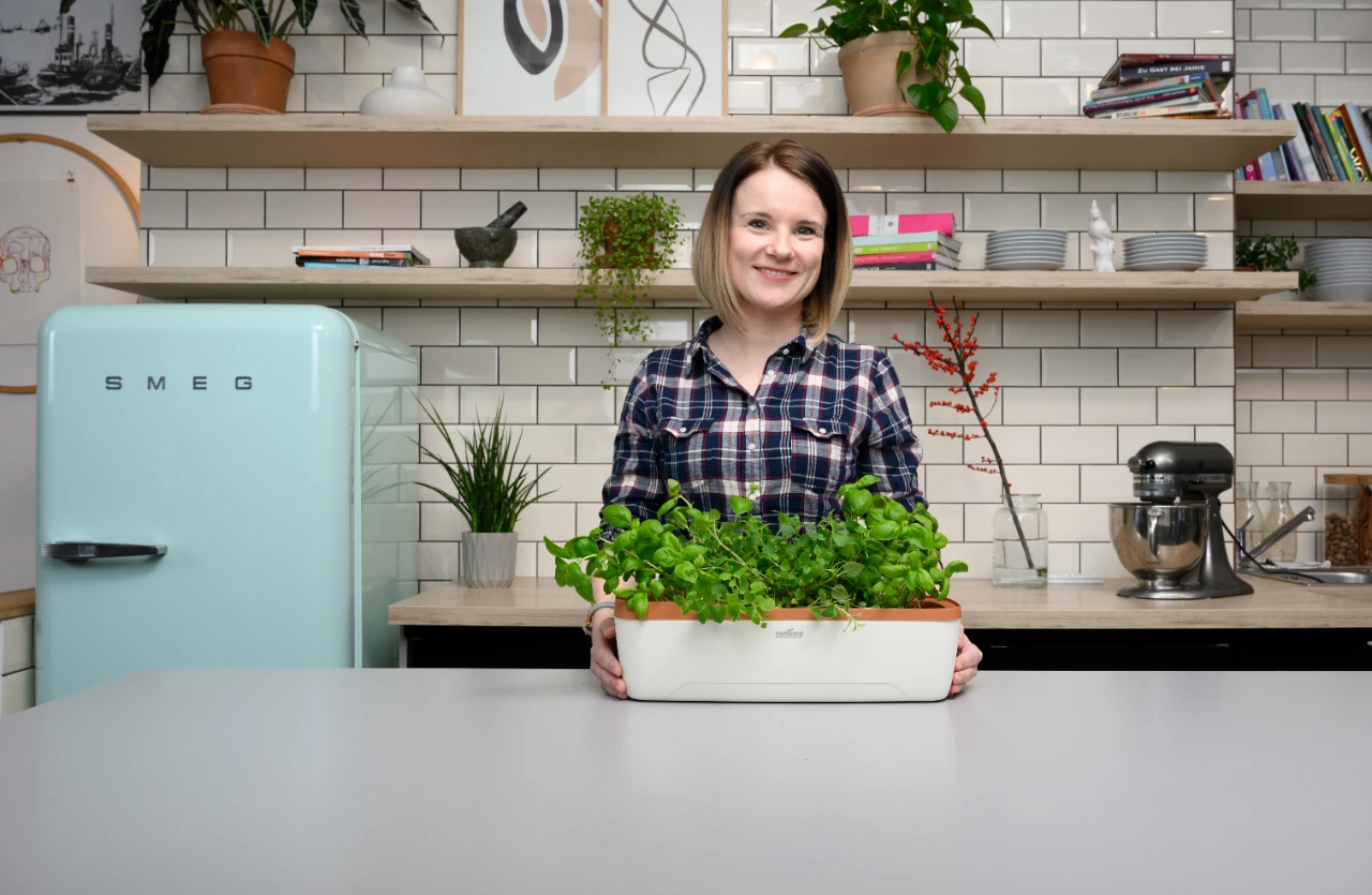 BoQube Gewächshaus & Pflanzkasten L Creme-kupfer | Zimmergewächshäuser Von Romberg 2 BoQube Gewächshaus & Pflanzkasten L Creme-kupfer | Zimmergewächshäuser Von Romberg – Bild 2