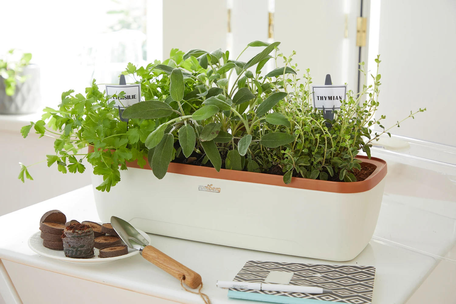 BoQube Gewächshaus & Pflanzkasten L Creme-kupfer | Zimmergewächshäuser Von Romberg 1 BoQube Gewächshaus & Pflanzkasten L Creme-kupfer | Zimmergewächshäuser Von Romberg