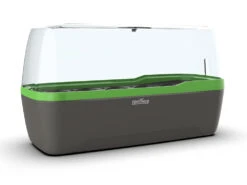 BoQube Gewächshaus &amp; Pflanzkasten L Anthrazit-grün | Zimmergewächshäuser Von Romberg -Elho || Compo Verkäufe 539702 BoQube Gewaechshaus Farbe anthrazit gru 4