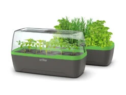 BoQube Gewächshaus &amp; Pflanzkasten L Anthrazit-grün | Zimmergewächshäuser Von Romberg -Elho || Compo Verkäufe 539702 BoQube Gewaechshaus Farbe anthrazit gru 5