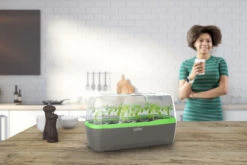 BoQube Gewächshaus &amp; Pflanzkasten L Anthrazit-grün | Zimmergewächshäuser Von Romberg -Elho || Compo Verkäufe 539702 BoQube Gewaechshaus Farbe anthrazit gru 6