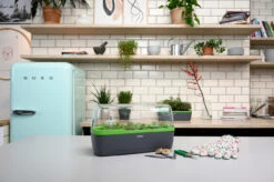 BoQube Gewächshaus &amp; Pflanzkasten L Anthrazit-grün | Zimmergewächshäuser Von Romberg -Elho || Compo Verkäufe 539702 BoQube Gewaechshaus Farbe anthrazit gru 7