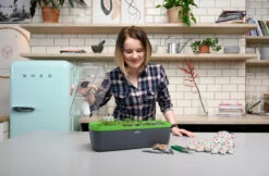 BoQube Gewächshaus &amp; Pflanzkasten L Anthrazit-grün | Zimmergewächshäuser Von Romberg -Elho || Compo Verkäufe 539702 BoQube Gewaechshaus Farbe anthrazit gru 8