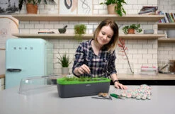 BoQube Gewächshaus &amp; Pflanzkasten L Anthrazit-grün | Zimmergewächshäuser Von Romberg -Elho || Compo Verkäufe 539702 BoQube Gewaechshaus Farbe anthrazit gru 9