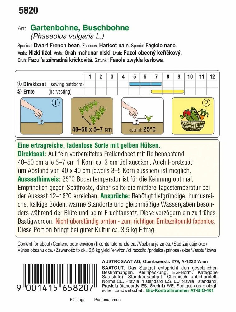 Buschbohnen Dior | BIO Buschbohnensamen Von Austrosaat 1 Buschbohnen Dior | BIO Buschbohnensamen Von Austrosaat