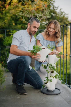 Sissi Strawberry Erdbeerturm Starter Weiß (4 Etagen) | Erdbeertürme Von Gusta Garden -Elho || Compo Verkäufe 543337 Sissy Strawberry starter weiss 4 Etagen 5