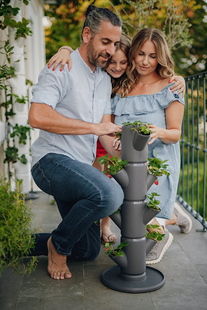 Sissi Strawberry Erdbeerturm Starter Anthrazit (4 Etagen) | Erdbeertürme Von Gusta Garden 5 Sissi Strawberry Erdbeerturm Starter Anthrazit (4 Etagen) | Erdbeertürme Von Gusta Garden – Bild 5