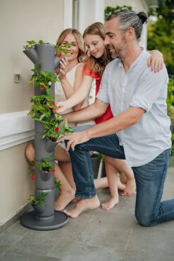 Sissi Strawberry Erdbeerturm Classic Anthrazit (6 Etagen) | Erdbeertürme Von Gusta Garden -Elho || Compo Verkäufe 543340 Sissy Strawberry classic anthrazit 6 Etagen 4