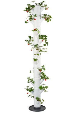 Sissi Strawberry Erdbeerturm Infinity Weiß (10 Etagen) | Erdbeertürme Von Gusta Garden -Elho || Compo Verkäufe 543343 Sissy Strawberry infinity weiss 10 Etagen