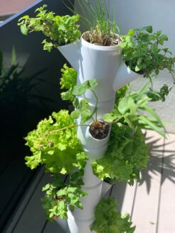 Sissi Strawberry Erdbeerturm Infinity Anthrazit (10 Etagen) | Erdbeertürme Von Gusta Garden -Elho || Compo Verkäufe 543344 Sissi Strawberry Erdbeerturm infinity anthrazit 10 Etagen 101529 gg 4