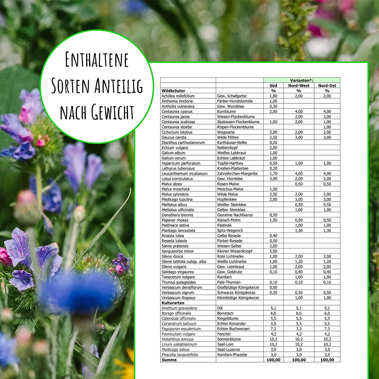 Bienenweide Region Nord-West (mehrjährig, 50 G) | Bienenwiese Von Biobalu 2 Bienenweide Region Nord-West (mehrjährig, 50 G) | Bienenwiese Von Biobalu – Bild 2