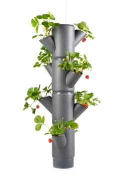 Sissi Strawberry Erdbeerturm Hanging Anthrazit (4 Etagen) | Erdbeertürme Von Gusta Garden -Elho || Compo Verkäufe 543598 Sissi Strawberry Hanging anthrazit 4 Etagen
