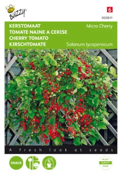 Kirschtomate Micro Cherry | Kirschtomatensamen Von Buzzy Seeds