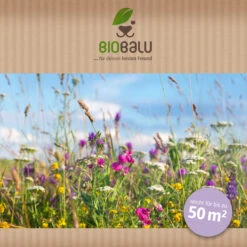 Bienenweide Halbschatten- Und Schattenbereich (50 G) | Bienenwiese Von Biobalu -Elho || Compo Verkäufe 546069 Bienenweide Halbschatten und Schattenbereich 50 g 2