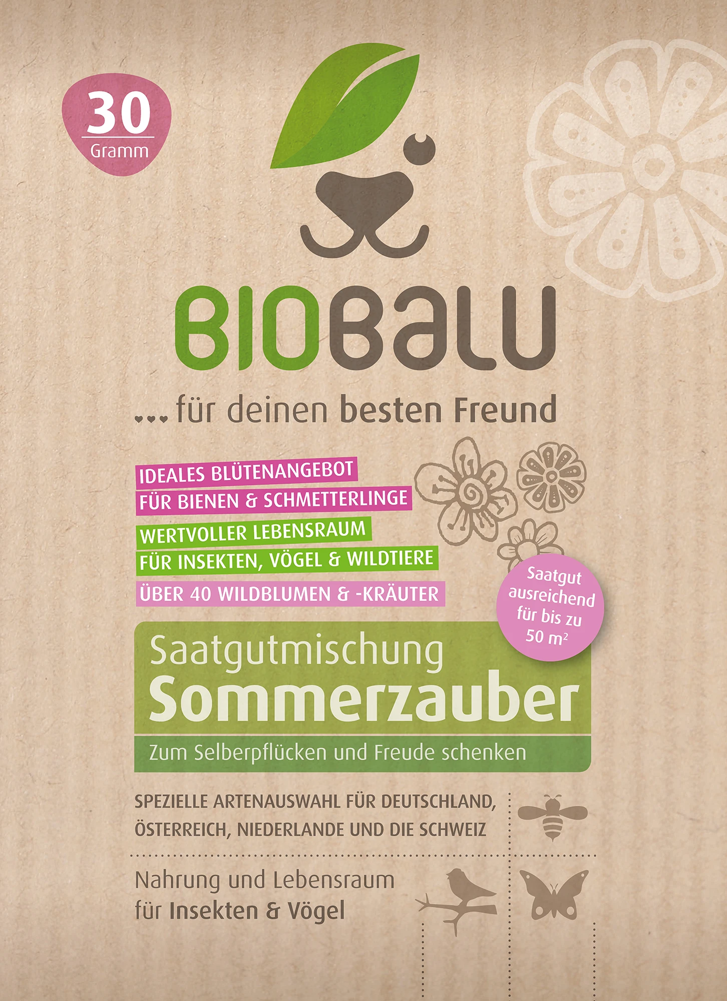 Saatgutmischung Sommerzauber (30 G) | Bienenwiese Von Biobalu 2 Saatgutmischung Sommerzauber (30 G) | Bienenwiese Von Biobalu – Bild 2