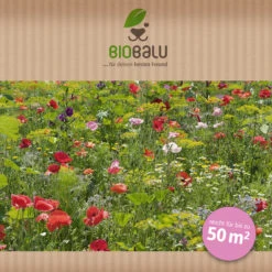 Saatgutmischung Sommerzauber (30 G) | Bienenwiese Von Biobalu 7 Saatgutmischung Sommerzauber (30 G) | Bienenwiese Von Biobalu -Elho || Compo Verkäufe 547420 Saatgutmischung Sommerzauber 30 g 1