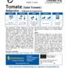 Tomate Bellandine F1 | Tomatensamen Von Kiepenkerl
