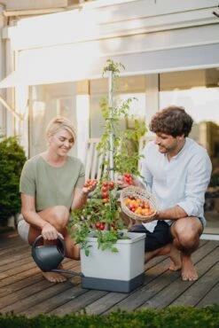 Tom Tomato Tomatentopf Hellgrau | Tomatentöpfe Von Gusta Garden -Elho || Compo Verkäufe 547957 Tom Tomato Hellgrau 6