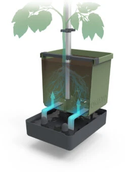 Tom Tomato Tomatentopf Dunkelgrün | Tomatentöpfe Von Gusta Garden -Elho || Compo Verkäufe 547958 Tom Tomato Dunkelgruen 2