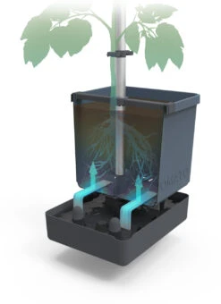 Tom Tomato Tomatentopf Blau | Tomatentöpfe Von Gusta Garden -Elho || Compo Verkäufe 547959 Tom Tomato Blau 2