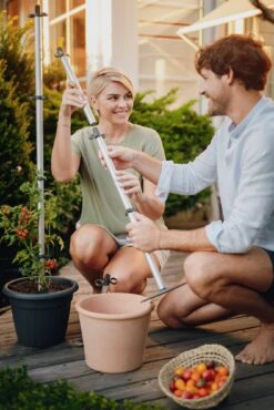 Tomato Buddy Tomatenrankhilfe | Rankhilfen Von Gusta Garden -Elho || Compo Verkäufe 547960 Tomato Buddy 6