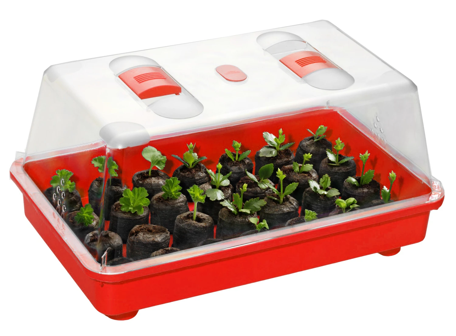 Zimmergewächshaus Marco Rot | Zimmergewächshaus Von Romberg 1 Zimmergewächshaus Marco Rot | Zimmergewächshaus Von Romberg