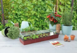 Fensterbank Gewächshaus | Zimmergewächshaus Von Sogo -Elho || Compo Verkäufe 548522 Fensterbank Gewaechshaus 887340 sg 2