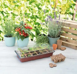 Gewächshaus (18 Töpfe) | Zimmergewächshaus Von Sogo 5 Gewächshaus (18 Töpfe) | Zimmergewächshaus Von Sogo -Elho || Compo Verkäufe 548523 Gewaechshaus mit 18 Toepfe 887342 sg 2