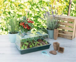 Gewächshaus Mit Belüftung | Zimmergewächshaus Von Sogo -Elho || Compo Verkäufe 548525 Gewaechshaus mit Belueftung 887346 sg 3