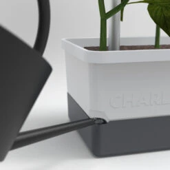 Charly Chili Chilitopf Hellgrau | Chilitöpfe Von Gusta Garden -Elho || Compo Verkäufe 548628 Charly Chili Chilitopf hellgrau 100710 gg 3