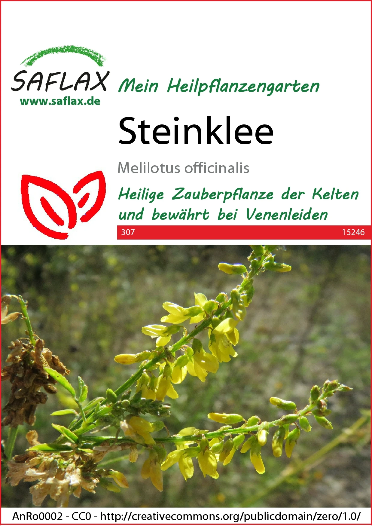 Steinklee | Gründünger Von Saflax 2 Steinklee | Gründünger Von Saflax – Bild 2