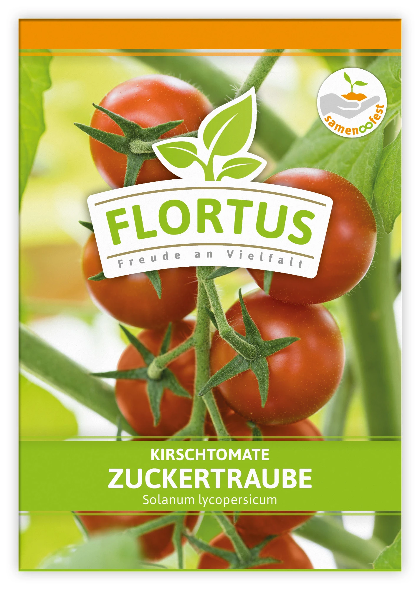 Kirschtomate Zuckertraube (100 Stück) | Kirschtomatensamen Von FLORTUS 3 Kirschtomate Zuckertraube (100 Stück) | Kirschtomatensamen Von FLORTUS – Bild 3
