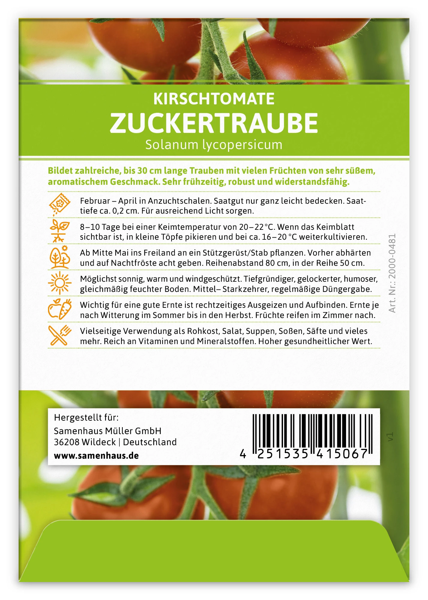 Kirschtomate Zuckertraube (100 Stück) | Kirschtomatensamen Von FLORTUS 2 Kirschtomate Zuckertraube (100 Stück) | Kirschtomatensamen Von FLORTUS – Bild 2