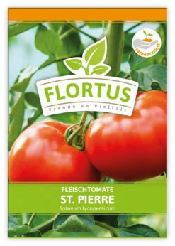 Fleischtomate St. Pierre (100 Stück) | Fleischtomatensamen Von FLORTUS -Elho || Compo Verkäufe 549879 Fleischtomate St Pierre 100 Stueck 2000 0496 100x 1