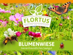Blumenwiese (1/2 L Doypack) | Blumenwiese Von FLORTUS -Elho || Compo Verkäufe 551641 Blumenwiese 1 2 Liter Doypack 2000 0186 1